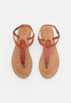 Anna Field Leather- Sandalias De Dedo - Cognac -Anna Field 91ceacf641294bdab7f74ed9bb2c7083